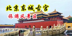 操尿淫妇中国北京-东城古宫旅游风景区